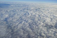 20220727_062837 20220727_062837