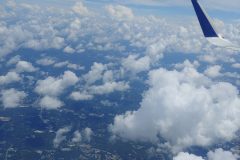 20220727_093039 20220727_093039